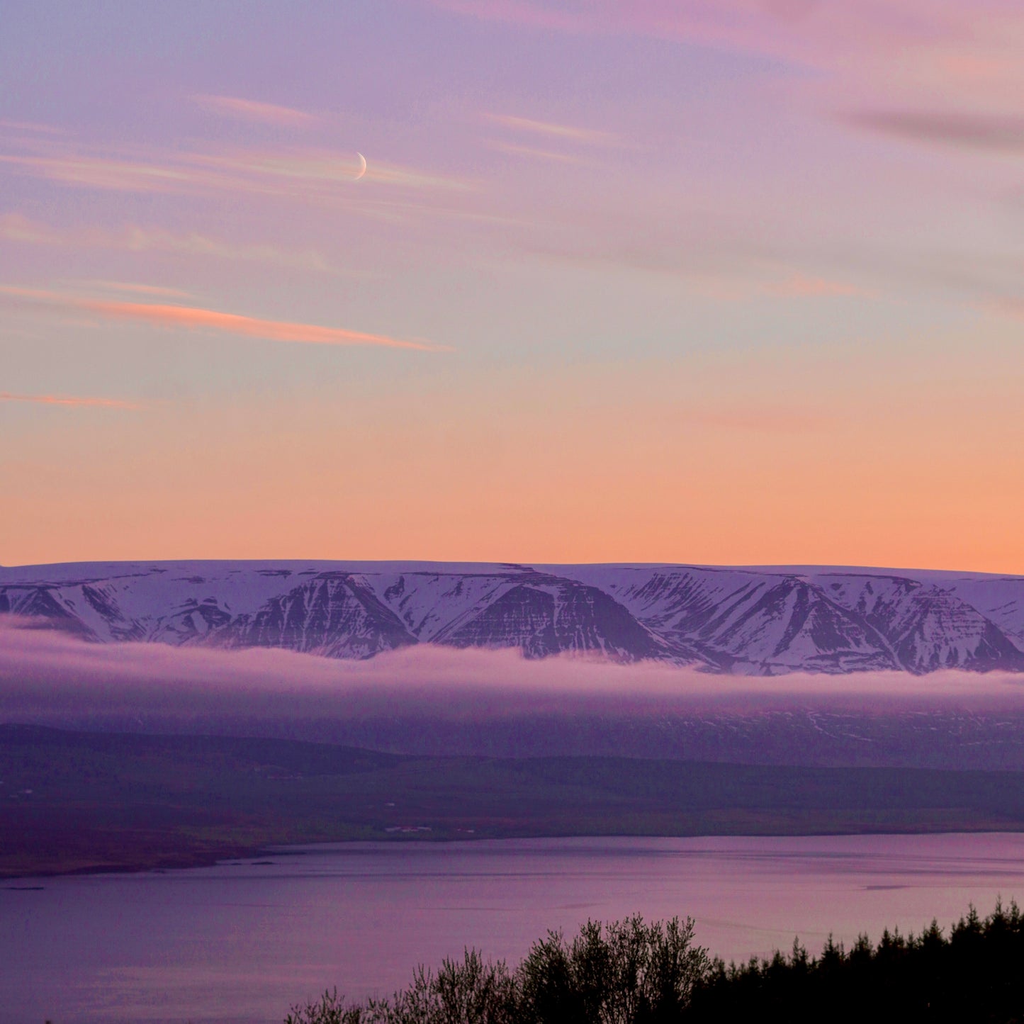 Divine Harmony // Stefán Elí