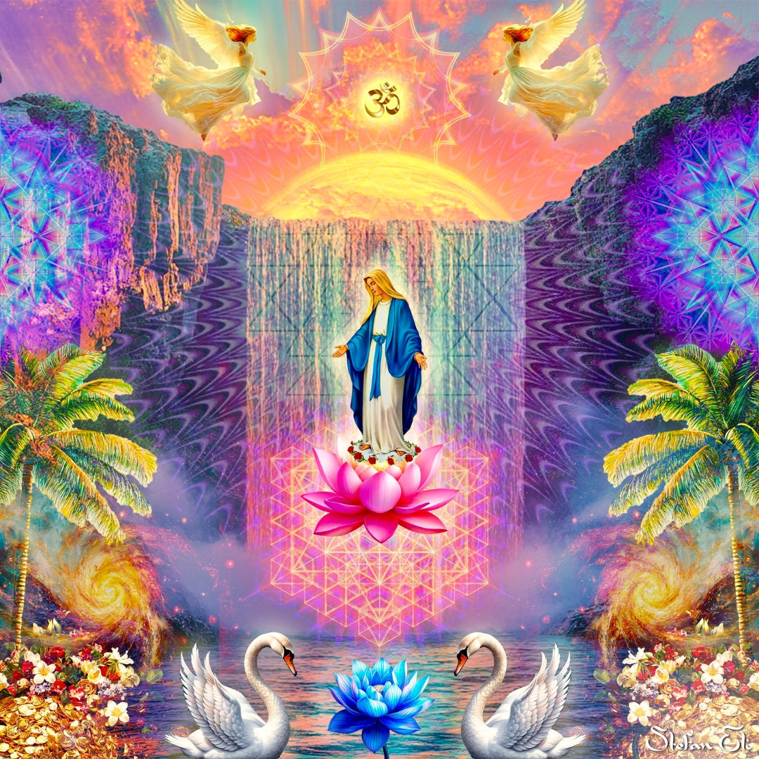 Cosmic Grace // SHIRT