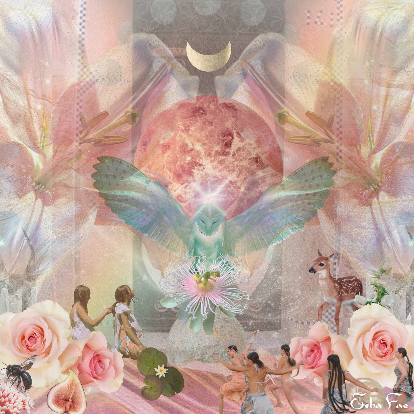 Where the Wild Moonflowers Bloom // HOODIE